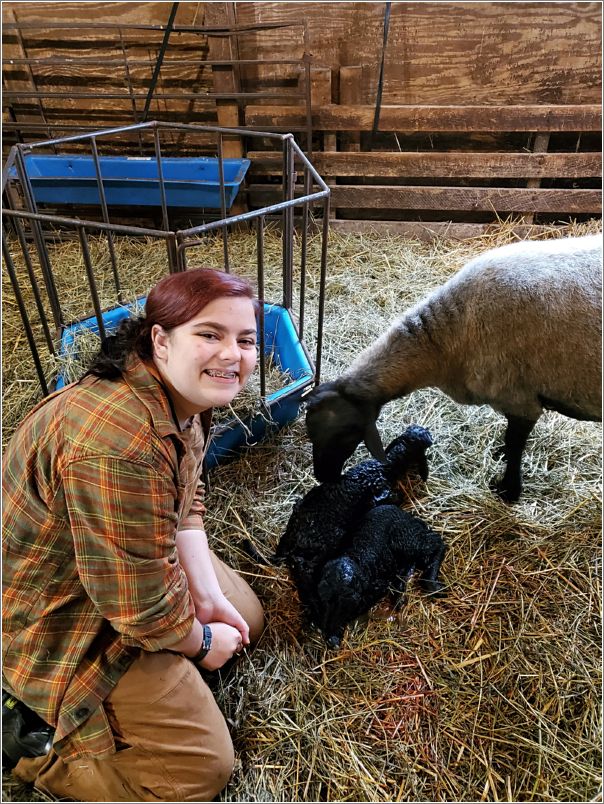 Abby, my neighbor and helper just got to watch her first set of twin Karakul lambs being born. Photo: Letty Klein.